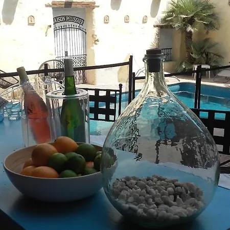 Maison Pelissier With Swemming Pool Bed & Breakfast