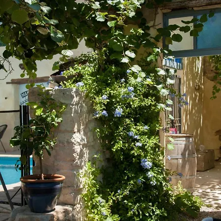 Maison Pelissier With Sweeming Pool