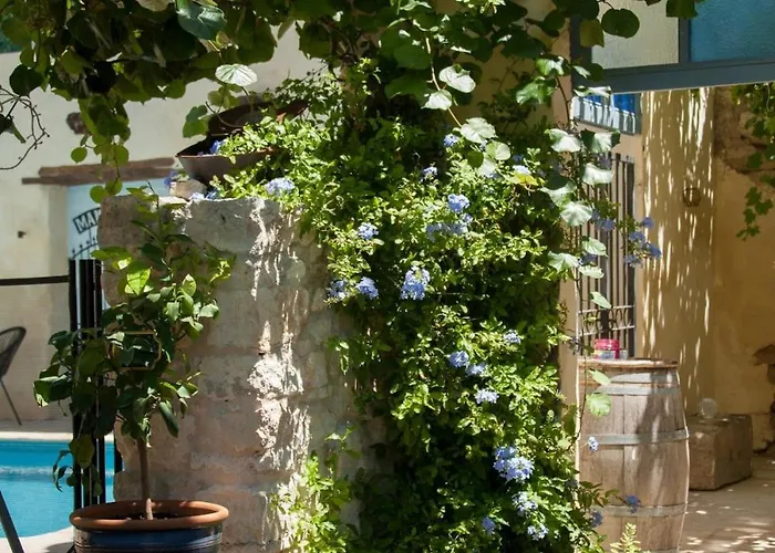 Maison Pelissier With Swemming Pool